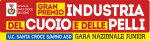 GP Industria del Cuoio e delle Pelli