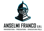 Anselmi